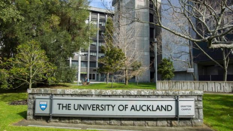 Du học New Zealand chi phí bao nhiêu? Tổng ngân sách thực tế 2026