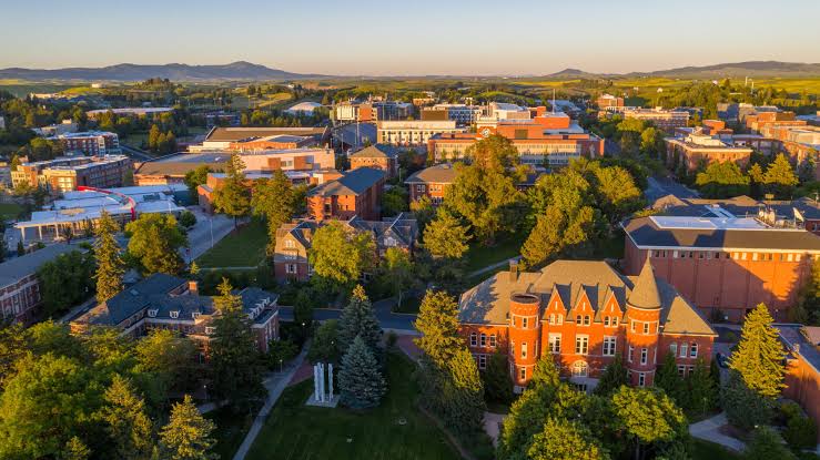 Washington State University
